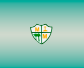 Questionário para elaboração do PPA 2026-2029